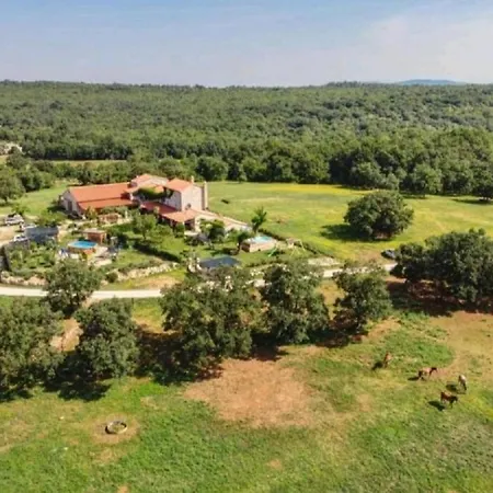 Villa Barbara - Perfect Holiday *